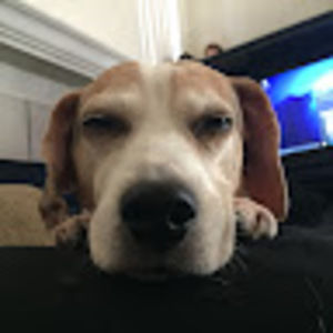 Meet your Posher, Fredo